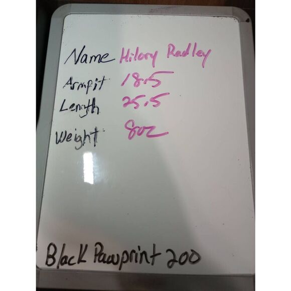 Hilary Radley Shirt Ladies Small‎ White Black Capped Sleeve V-Neck - Picture 7 of 7